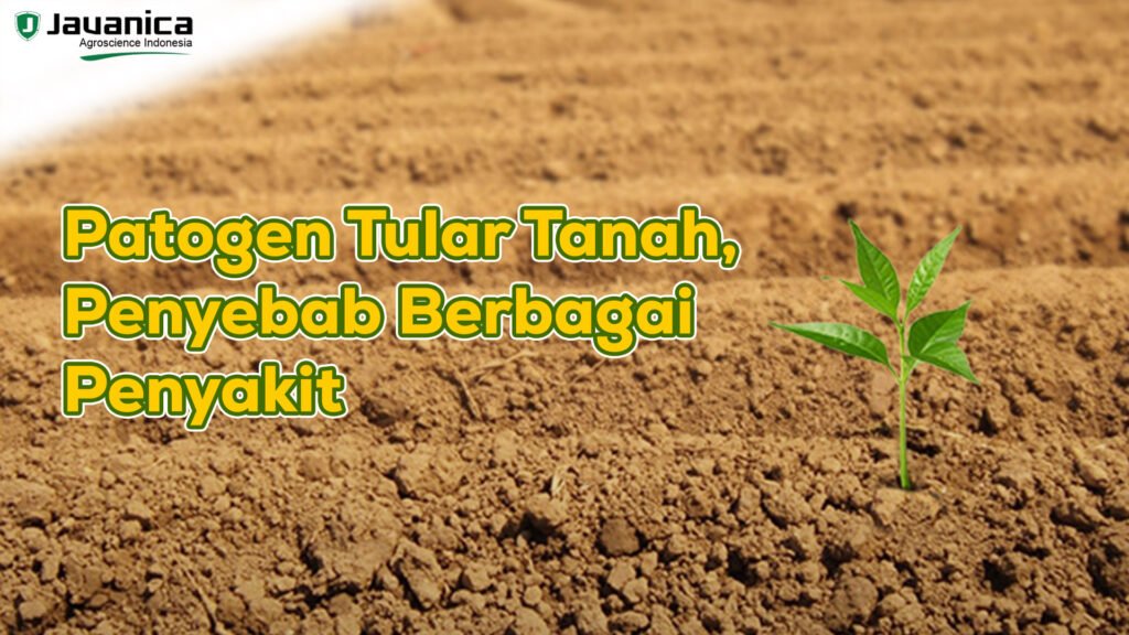 Patogen Tular Tanah, Penyebab Berbagai Penyakit